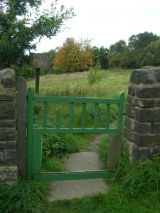 Gate in need of repair