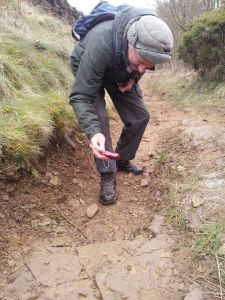 David Leather, examining the tidal lamination in Fairy Dell 