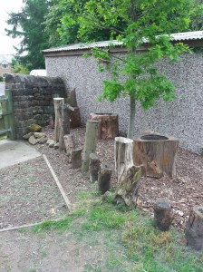 The new herb planters. 