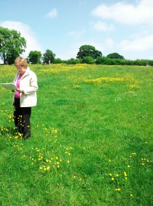 Trying to find the site of a building above the Tan House. 