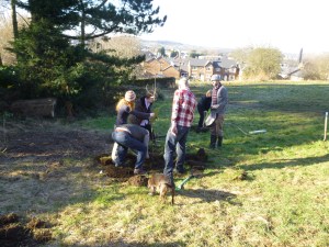 Digging and digging and more digging....