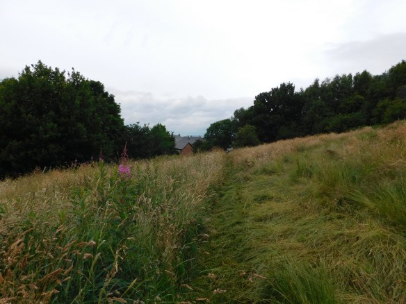 Trying to trace the line of the old cobbles