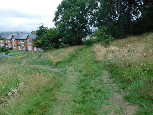 Past the butterfly area, where the estate path now comes up, 