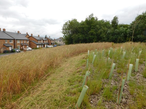 Slight detour around the 'quick sand' to try and make sure there is a firm footing 