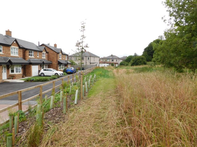 Out to meet the old path again 