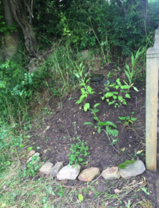 Screen Shot 2016-08-01 at 20.05.34