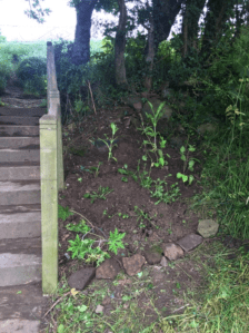 Screen Shot 2016-08-01 at 20.05.43